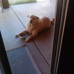 Meet your Posher, Jose